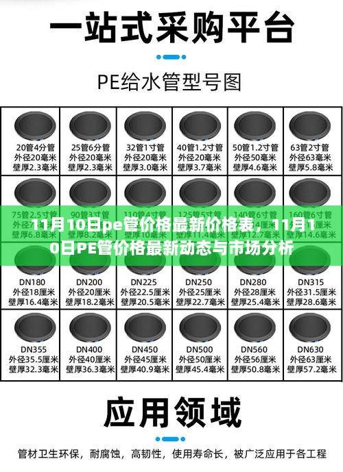 11月10日PE管价格最新动态及市场分析，价格表与市场趋势解读