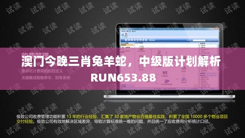 澳门今晚三肖兔羊蛇，中级版计划解析 RUN653.88