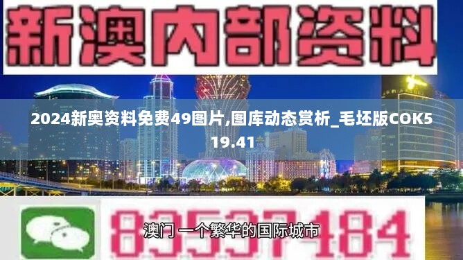 2024新奥资料免费49图片,图库动态赏析_毛坯版COK519.41