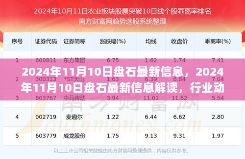 2024年11月10日盘石最新信息解读与行业动态未来趋势分析