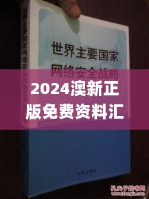 2024澳新正版免费资料汇编，安全策略挑战评测_LMA415.72