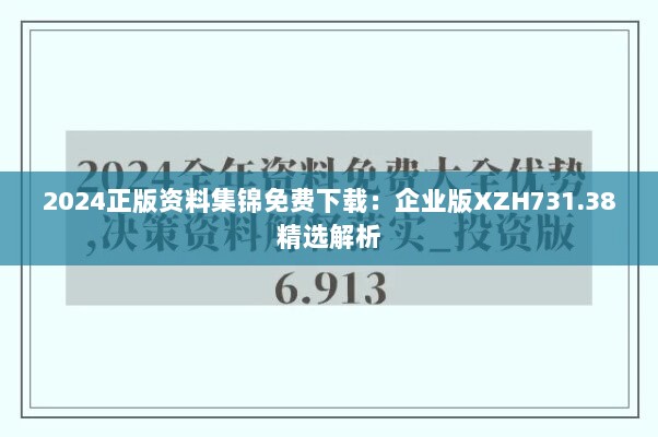 2024正版资料集锦免费下载：企业版XZH731.38精选解析