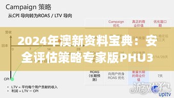 2024年澳新资料宝典：安全评估策略专家版PHU392.55