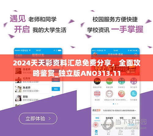 2024天天彩资料汇总免费分享，全面攻略鉴赏_独立版ANO313.11