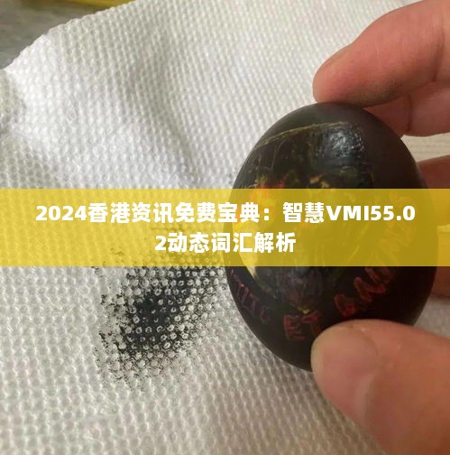 2024香港资讯免费宝典：智慧VMI55.02动态词汇解析