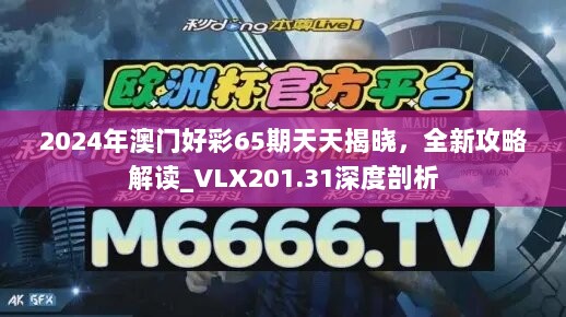 2024年澳门好彩65期天天揭晓，全新攻略解读_VLX201.31深度剖析