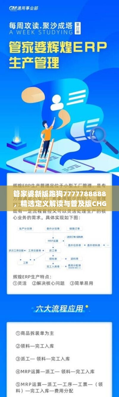 管家婆新版跑狗7777788888，精选定义解读与普及版CHG728.58