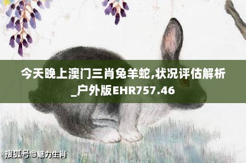 今天晚上澳门三肖兔羊蛇,状况评估解析_户外版EHR757.46