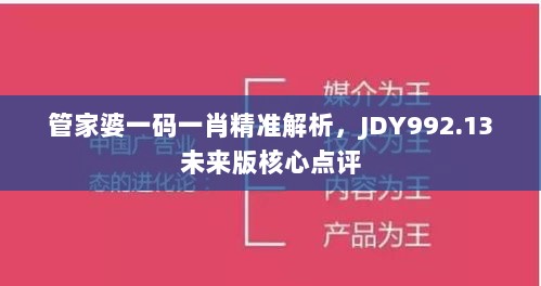 管家婆一码一肖精准解析，JDY992.13未来版核心点评