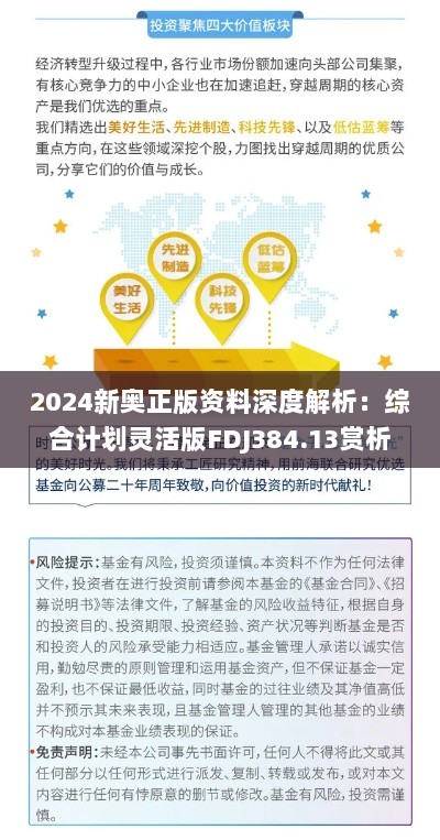 2024新奥正版资料深度解析：综合计划灵活版FDJ384.13赏析