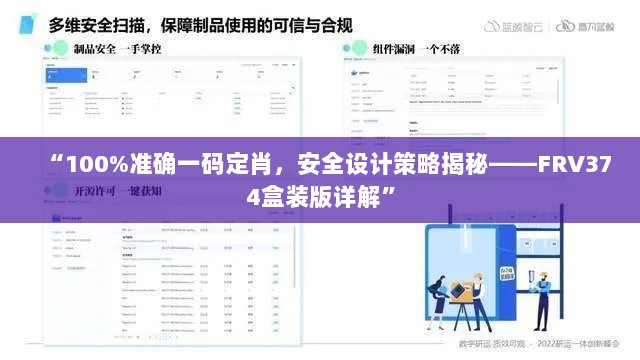 “100%准确一码定肖，安全设计策略揭秘——FRV374盒装版详解”