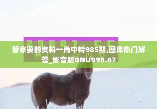 管家婆的资料一肖中特985期,图库热门解答_影音版GNU998.67