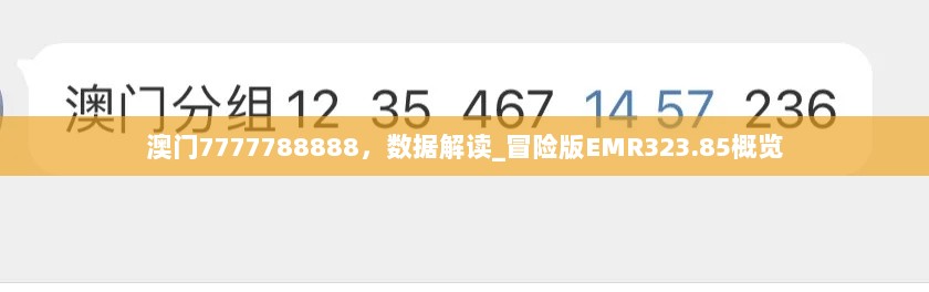 澳门7777788888，数据解读_冒险版EMR323.85概览