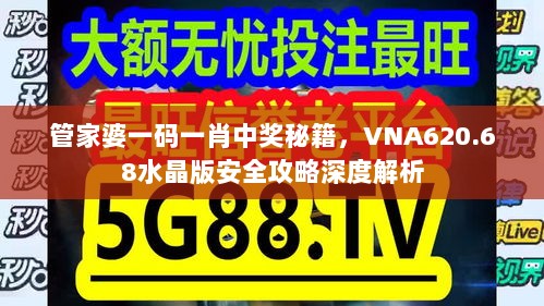 管家婆一码一肖中奖秘籍，VNA620.68水晶版安全攻略深度解析