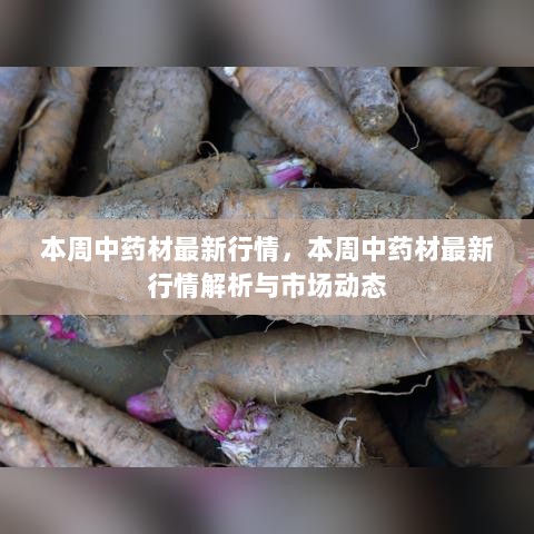 异常激烈 第4页