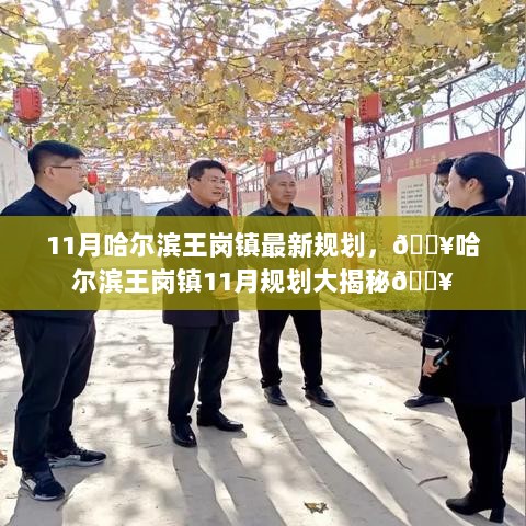 哈尔滨王岗镇11月最新规划揭秘