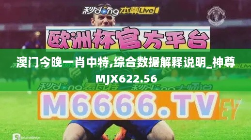 澳门今晚一肖中特,综合数据解释说明_神尊MJX622.56