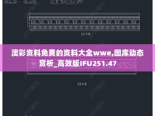 澳彩资料免费的资料大全wwe,图库动态赏析_高效版IFU251.47