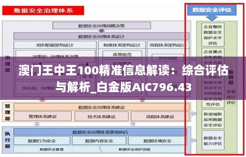 澳门王中王100精准信息解读：综合评估与解析_白金版AIC796.43