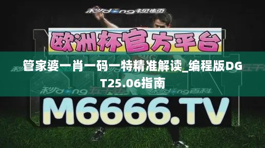 管家婆一肖一码一特精准解读_编程版DGT25.06指南