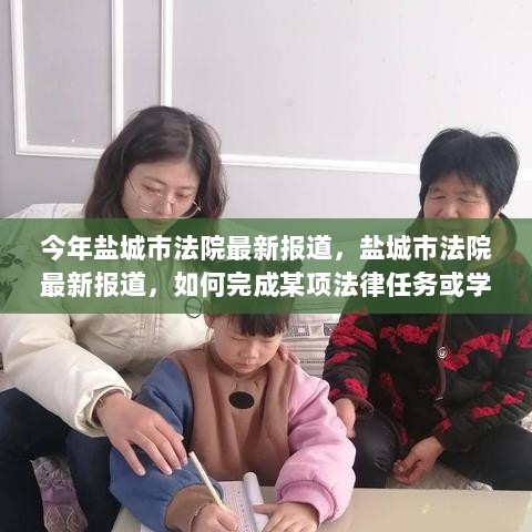 盐城市法院法律任务完成与学习法律技能指南