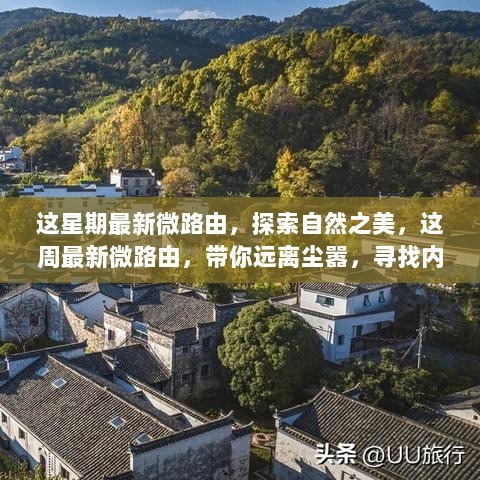 本周最新微路由，探索自然之美，寻找内心的平静之旅