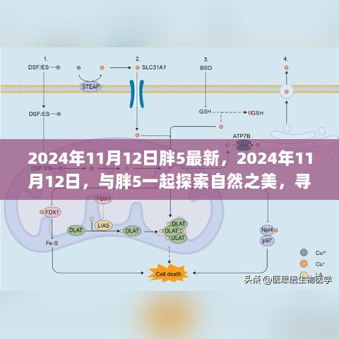 2024年11月12日胖5自然之旅，探索自然之美，寻找内心的平静与喜悦