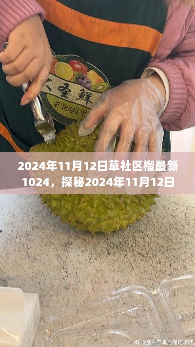 2024年11月12日草社区榴莲之梦，探秘隐藏版小店之旅