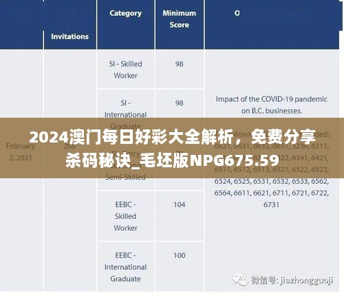 2024澳门每日好彩大全解析，免费分享杀码秘诀_毛坯版NPG675.59