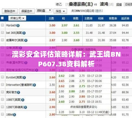 澳彩安全评估策略详解：武王境BNP607.38资料解析