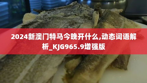 2024新澳门特马今晚开什么,动态词语解析_KJG965.9增强版