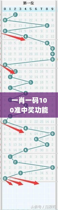 一肖一码100准中奖功能介绍,数据资料解释落实_天宫境NGF355.29