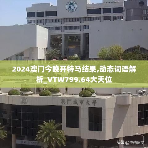 2024年11月13日 第114页