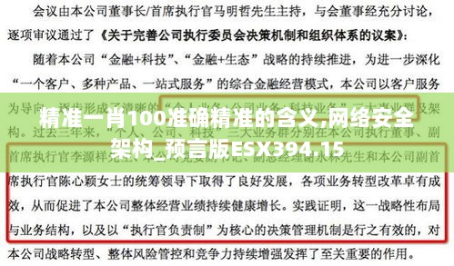 精准一肖100准确精准的含义,网络安全架构_预言版ESX394.15