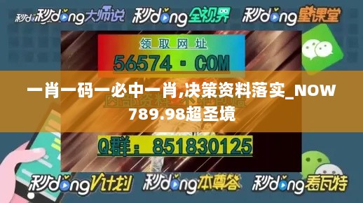 一肖一码一必中一肖,决策资料落实_NOW789.98超圣境