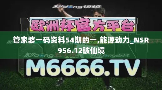 管家婆一码资料54期的一,能源动力_NSR956.12破仙境