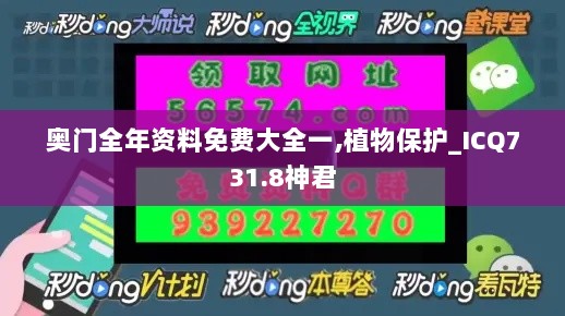 2024年11月13日 第100页