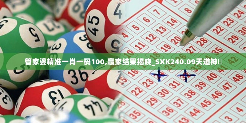 管家婆精准一肖一码100,赢家结果揭晓_SXK240.09天道神衹