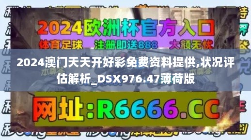 2024澳门天天开好彩免费资料提供,状况评估解析_DSX976.47薄荷版