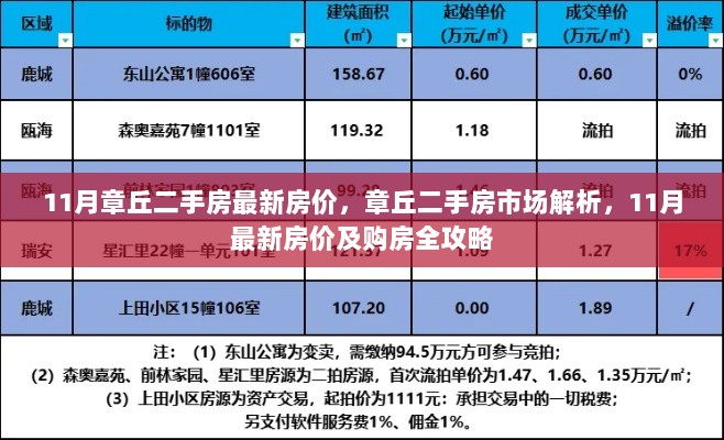 2024年11月13日 第94页