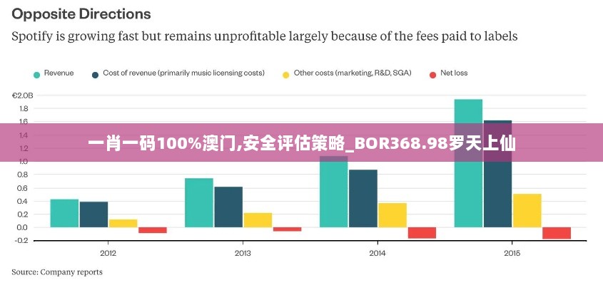 一肖一码100%澳门,安全评估策略_BOR368.98罗天上仙