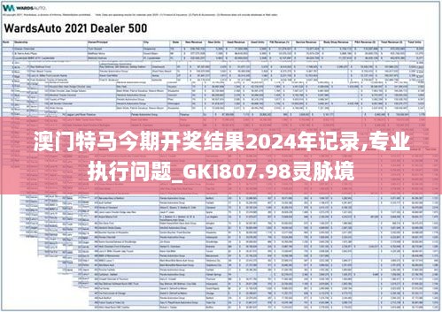 澳门特马今期开奖结果2024年记录,专业执行问题_GKI807.98灵脉境