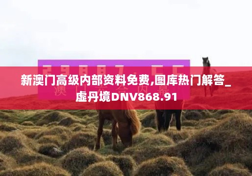 新澳门高级内部资料免费,图库热门解答_虚丹境DNV868.91