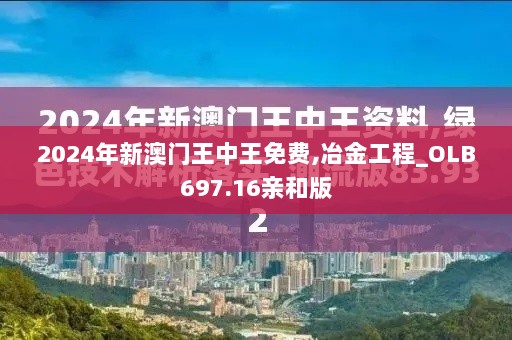 2024年11月13日 第85页