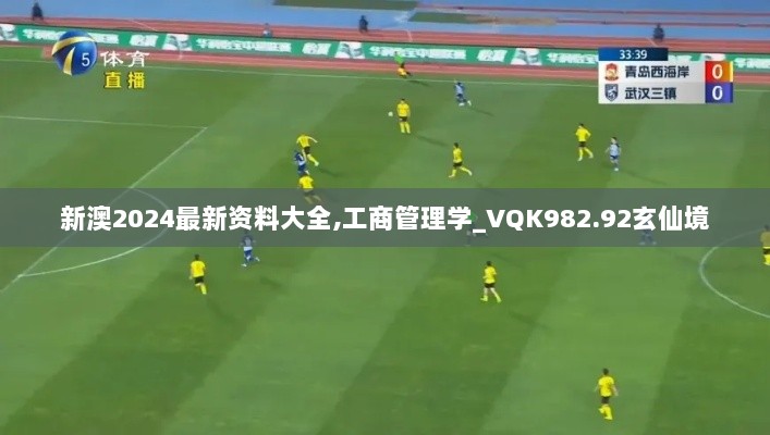 新澳2024最新资料大全,工商管理学_VQK982.92玄仙境