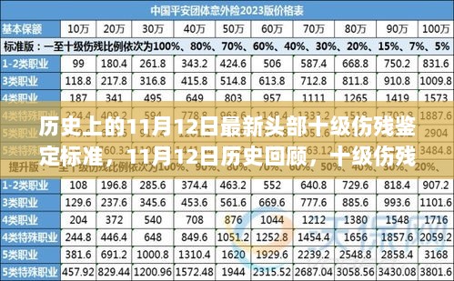 11月12日历史上的十级伤残鉴定标准，演变与深度解析