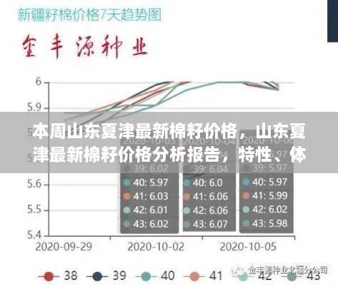 山东夏津最新棉籽价格分析报告，特性、体验与市场对比的探讨