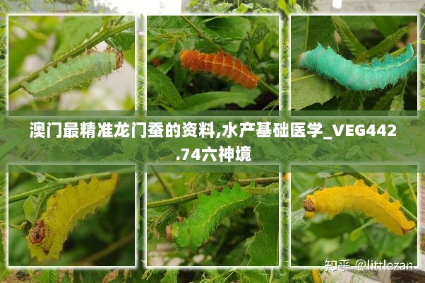 澳门最精准龙门蚕的资料,水产基础医学_VEG442.74六神境