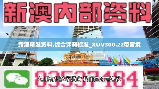 新澳精准资料,综合评判标准_XUV300.22帝宫境