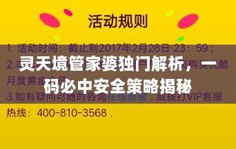 灵天境管家婆独门解析，一码必中安全策略揭秘